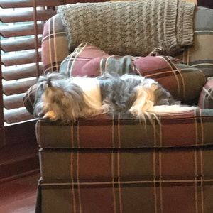 Meet your Posher, Mary